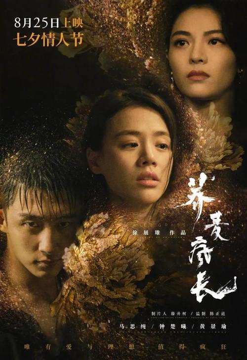 怎么买俄罗斯护照扫描件